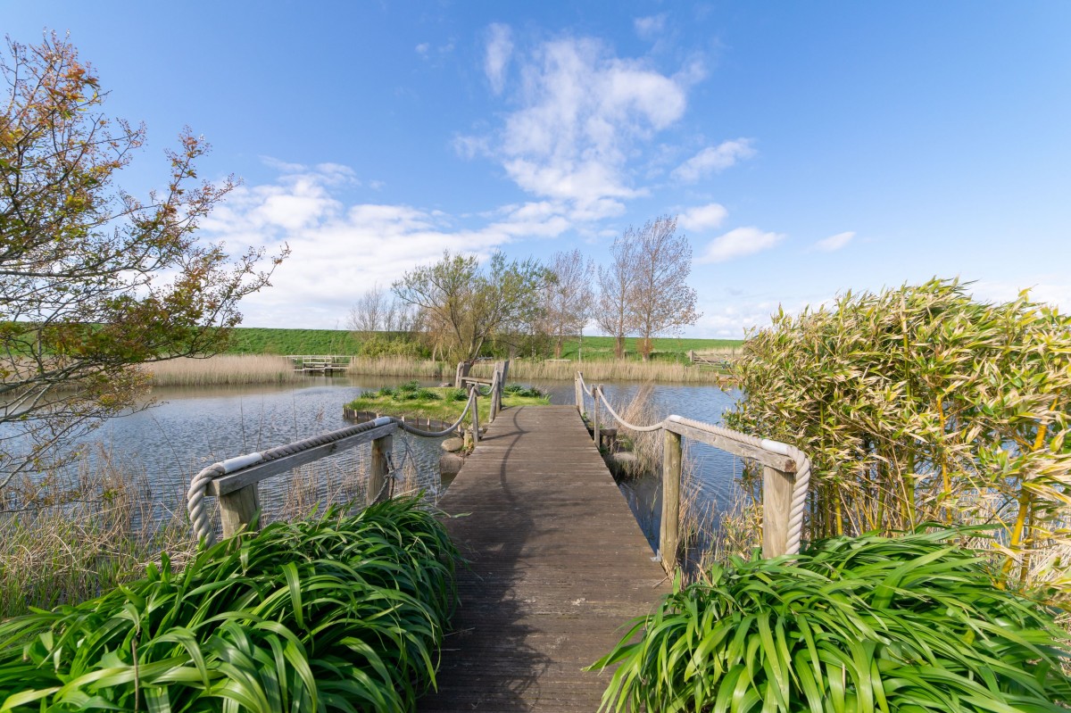 Images for Old Hollow Lane, Banks