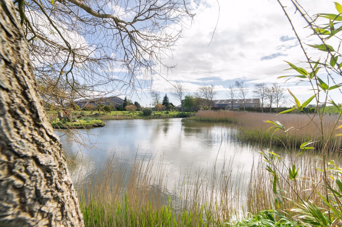 Images for Old Hollow Lane, Banks