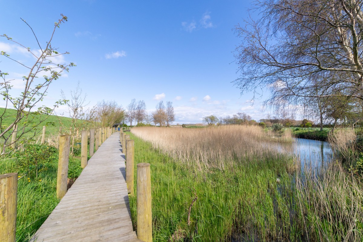 Images for Old Hollow Lane, Banks