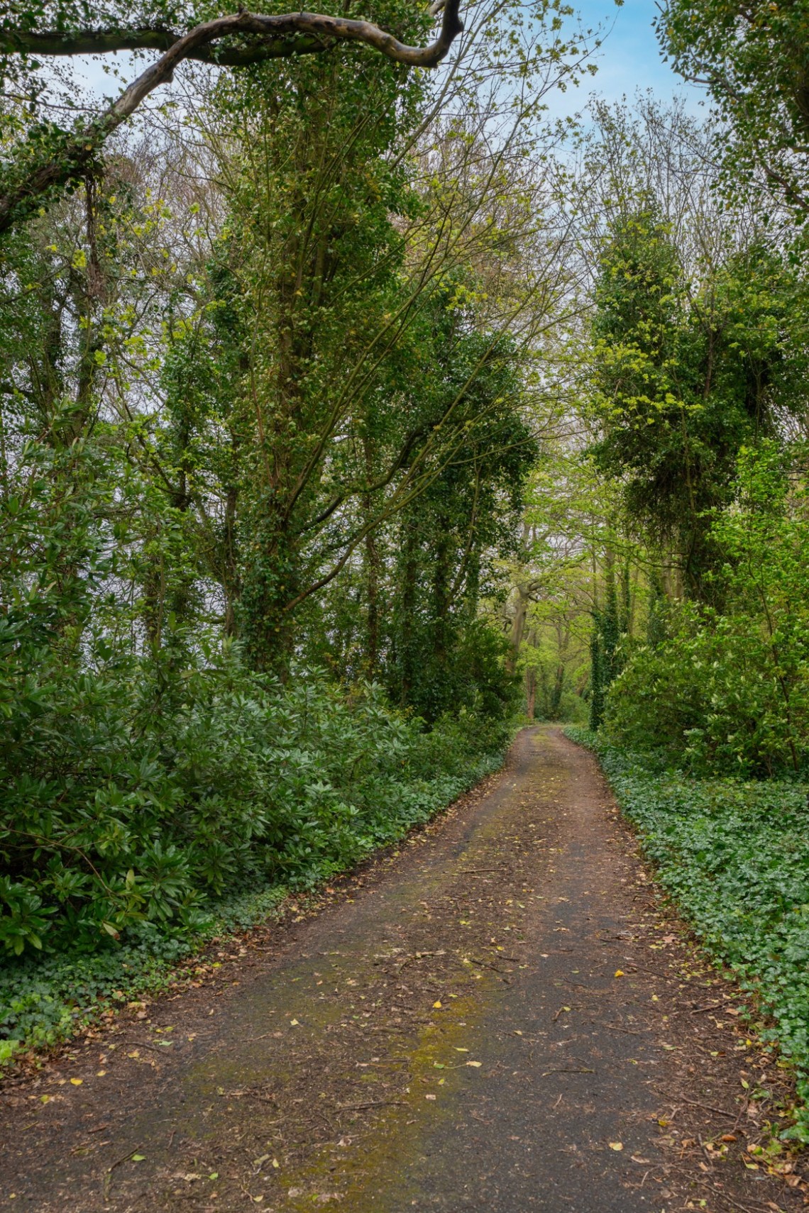 Images for Church Road, Bickerstaffe