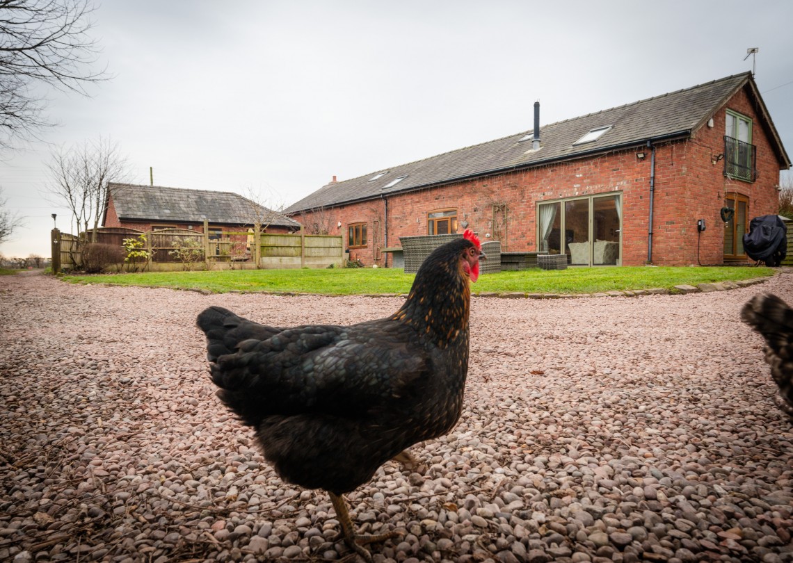 Images for Charnleys Lane, Banks